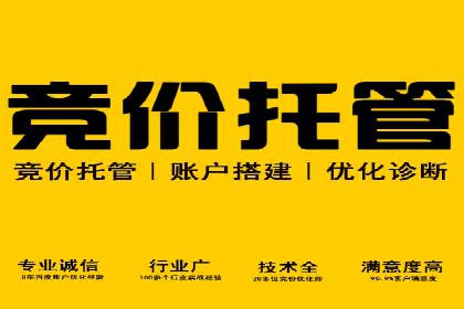 SEM托管服务案例解析：提升企业在线曝光